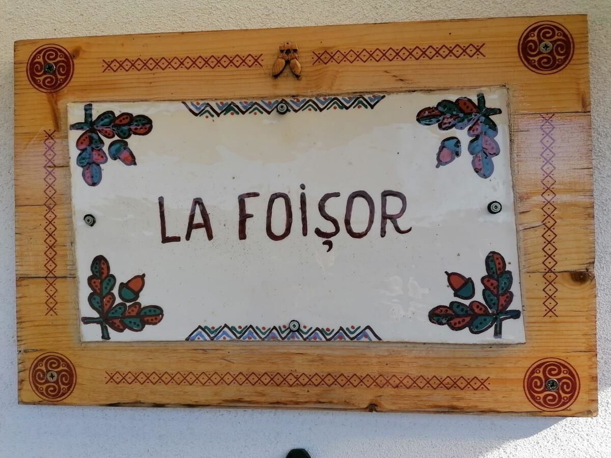 Дома для отпуска La Foisor Мэлдэрешти-16